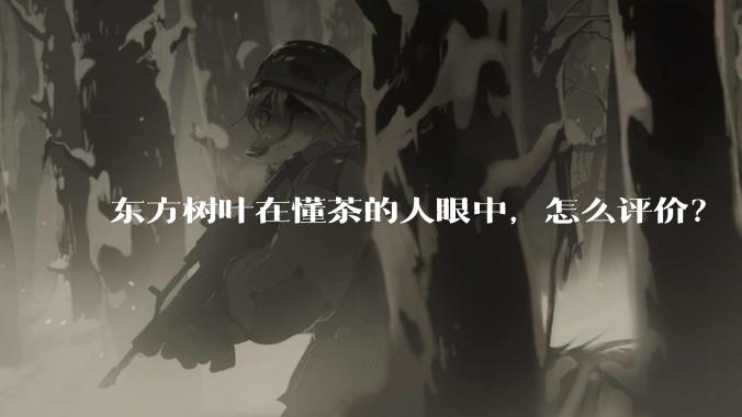 东方树叶在懂茶的人眼中，怎么评价？
