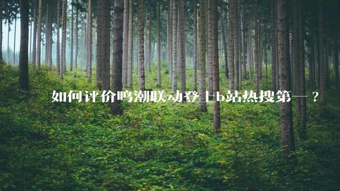 如何评价鸣潮联动登上b站热搜第一?