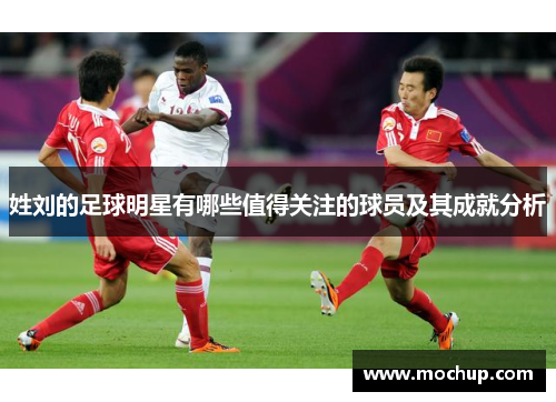 姓刘的足球明星有哪些值得关注的球员及其成就分析